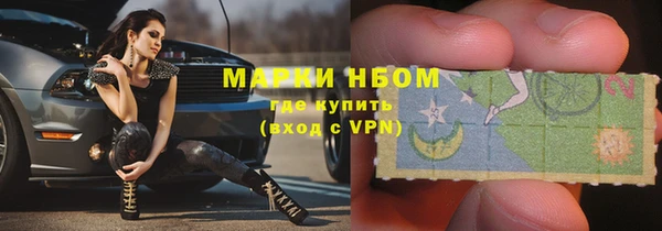 ПСИЛОЦИБИНОВЫЕ ГРИБЫ Алзамай