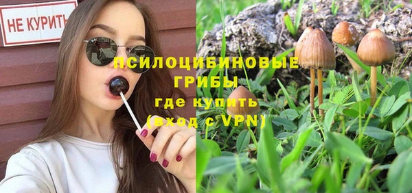 ПСИЛОЦИБИНОВЫЕ ГРИБЫ Алзамай