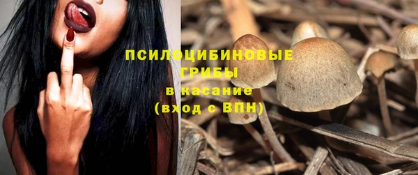 стафф Алексеевка